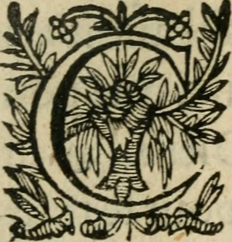 An illustration from Recueil d'emblemes diuers : auec des discours moraux, philosophiques, et politiques, tirez de diuers autheurs, anciens & modernes, 1638, leaf 494