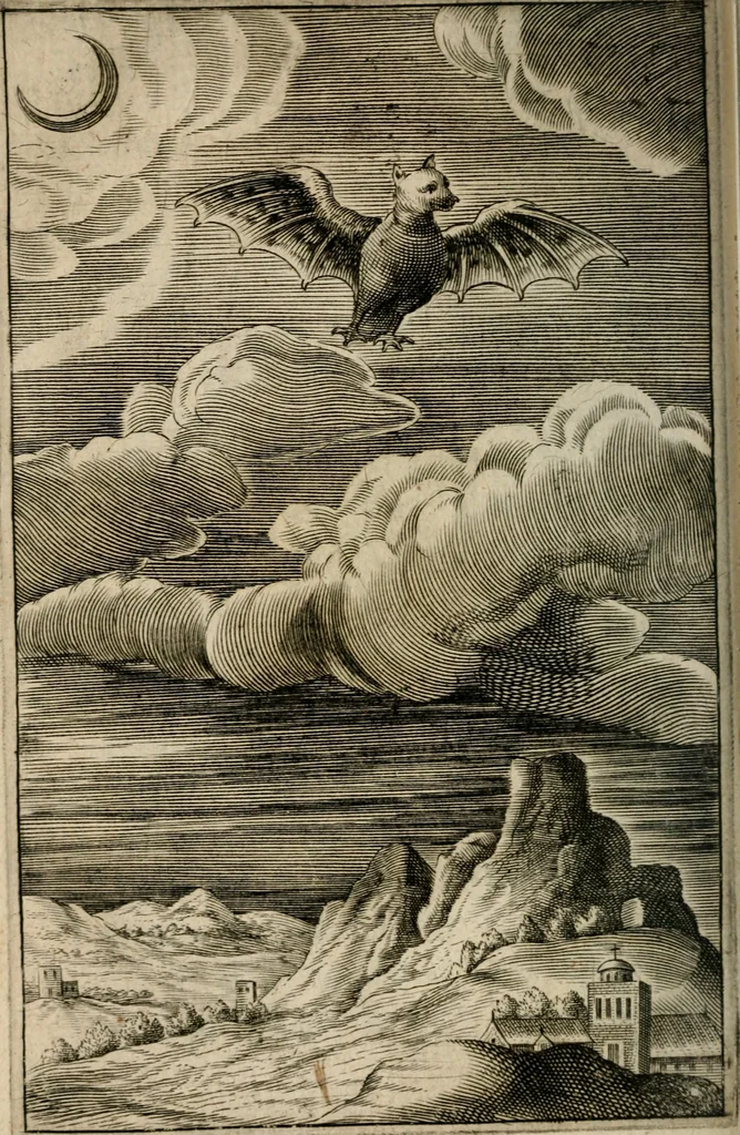 An illustration from Recueil d'emblemes diuers : auec des discours moraux, philosophiques, et politiques, tirez de diuers autheurs, anciens & modernes, 1638, leaf 541