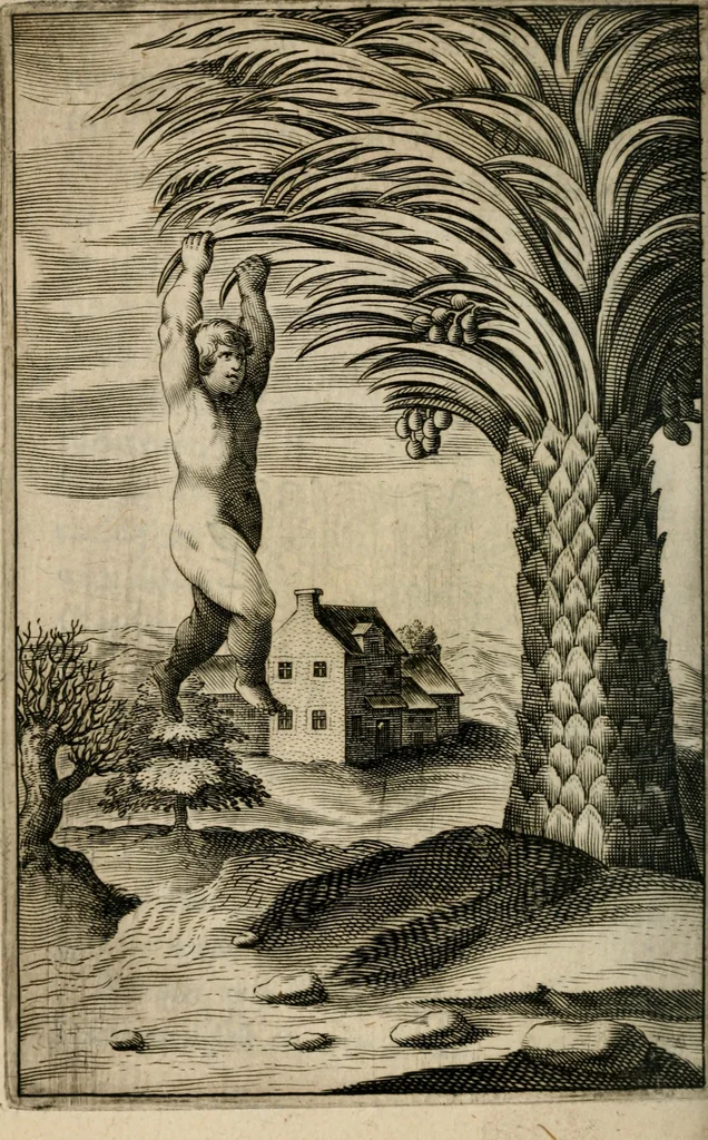 An illustration from Recueil d'emblemes diuers : auec des discours moraux, philosophiques, et politiques, tirez de diuers autheurs, anciens & modernes, 1638, leaf 549