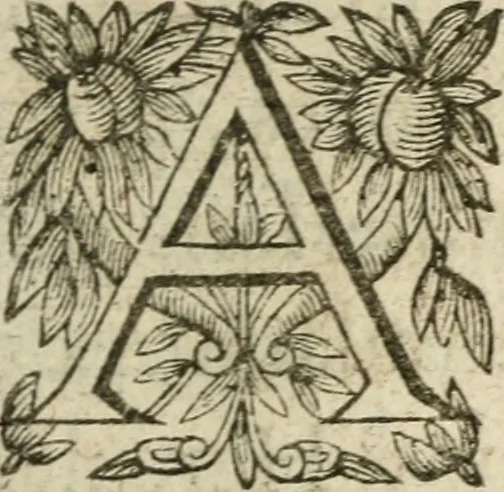 An illustration from Recueil d'emblemes diuers : auec des discours moraux, philosophiques, et politiques, tirez de diuers autheurs, anciens & modernes, 1638, leaf 558