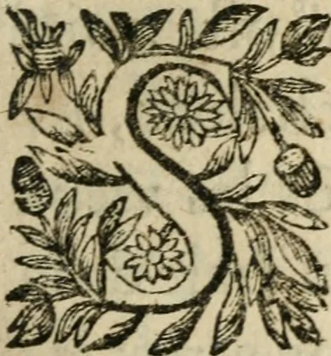An illustration from Recueil d'emblemes diuers : auec des discours moraux, philosophiques, et politiques, tirez de diuers autheurs, anciens & modernes, 1638, leaf 572