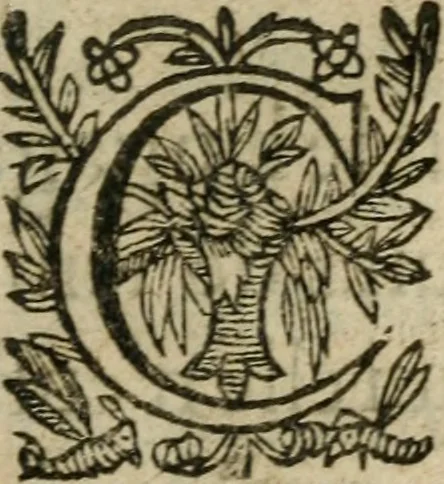 An illustration from Recueil d'emblemes diuers : auec des discours moraux, philosophiques, et politiques, tirez de diuers autheurs, anciens & modernes, 1638, leaf 582