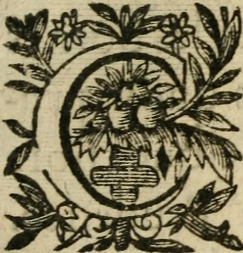 An illustration from Recueil d'emblemes diuers : auec des discours moraux, philosophiques, et politiques, tirez de diuers autheurs, anciens & modernes, 1638, leaf 588