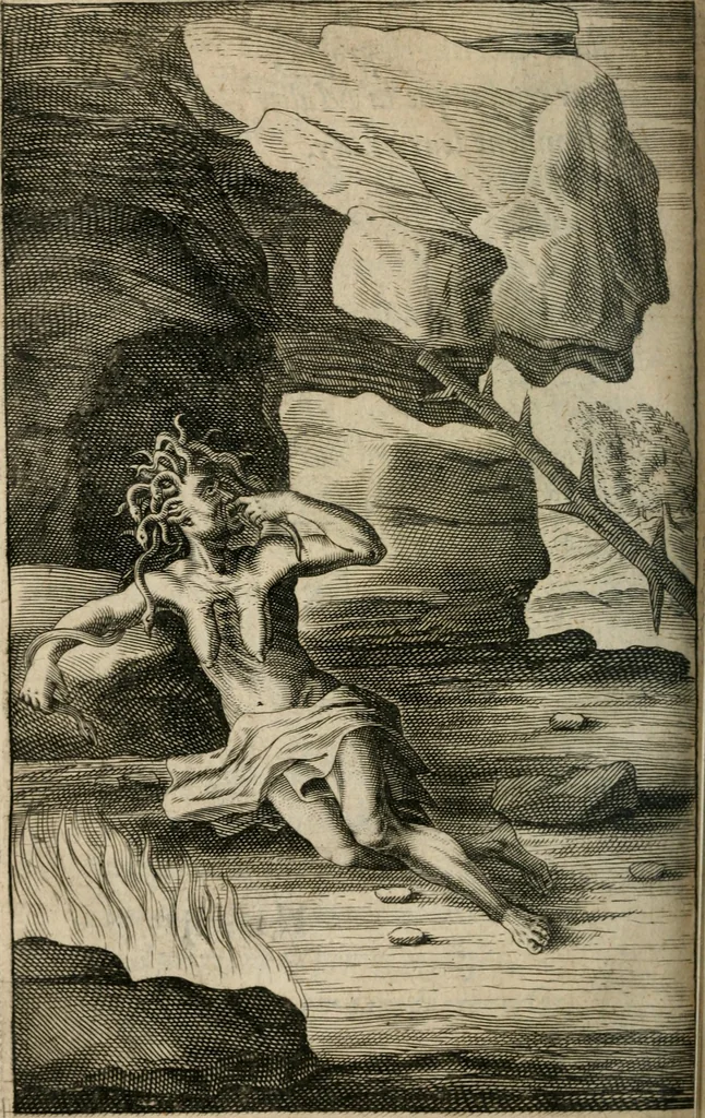 An illustration from Recueil d'emblemes diuers : auec des discours moraux, philosophiques, et politiques, tirez de diuers autheurs, anciens & modernes, 1638, leaf 603