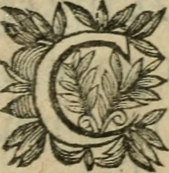 An illustration from Recueil d'emblemes diuers : auec des discours moraux, philosophiques, et politiques, tirez de diuers autheurs, anciens & modernes, 1638, leaf 604