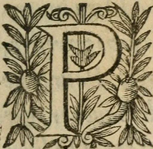 An illustration from Recueil d'emblemes diuers : auec des discours moraux, philosophiques, et politiques, tirez de diuers autheurs, anciens & modernes, 1638, leaf 612