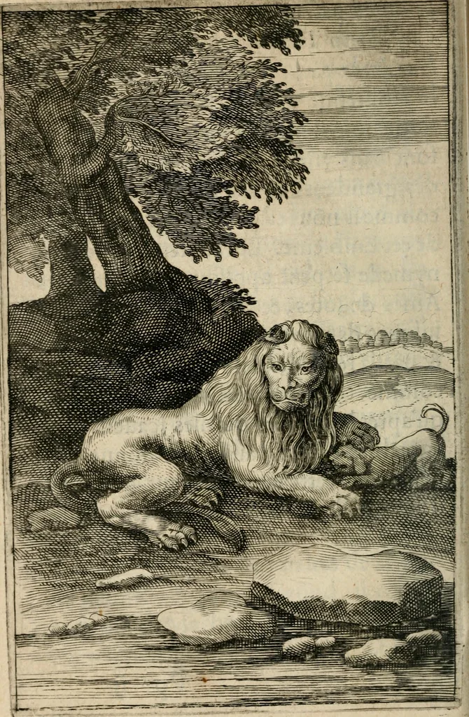 An illustration from Recueil d'emblemes diuers : auec des discours moraux, philosophiques, et politiques, tirez de diuers autheurs, anciens & modernes, 1638, leaf 635