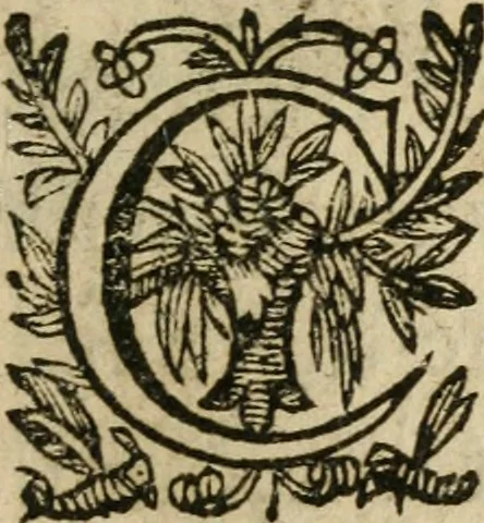 An illustration from Recueil d'emblemes diuers : auec des discours moraux, philosophiques, et politiques, tirez de diuers autheurs, anciens & modernes, 1638, leaf 660