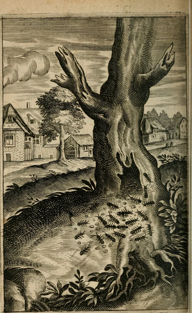 An illustration from Recueil d'emblemes diuers : auec des discours moraux, philosophiques, et politiques, tirez de diuers autheurs, anciens & modernes, 1638, leaf 679