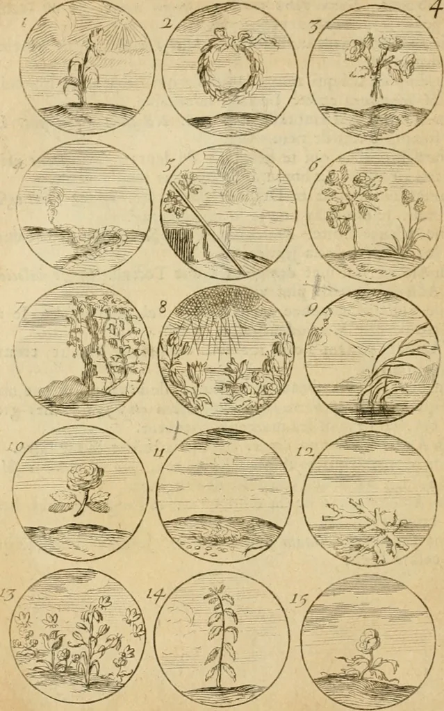 An illustration from Recueil d'emblêmes, devises, medailles, et figures hieroglyphiques : au nombre de plus de douze cent, avec leurs explications, accompagné de plus de deux mille chiffres fleuronnez simples, doubles & triples, d'une maniere nouvelle & fort curieuse pour tous les noms imaginable : avec les tenants, supports, & cimiers servans aux ornemens des armes ..., 1696, leaf 111