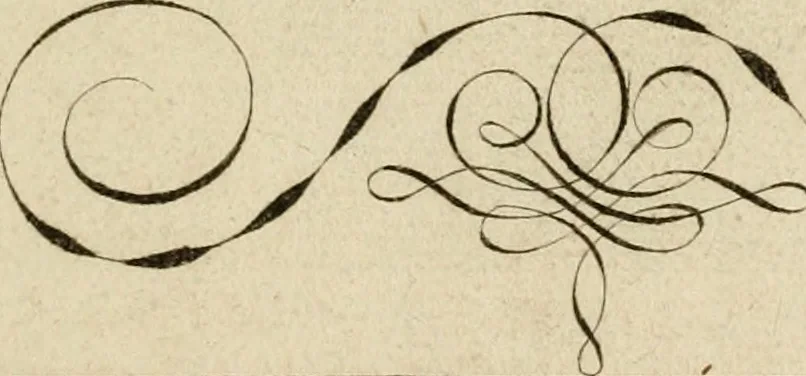 An illustration from Recueil d'emblêmes, devises, medailles, et figures hieroglyphiques : au nombre de plus de douze cent, avec leurs explications, accompagné de plus de deux mille chiffres fleuronnez simples, doubles & triples, d'une maniere nouvelle & fort curieuse pour tous les noms imaginable : avec les tenants, supports, & cimiers servans aux ornemens des armes ..., 1696, leaf 14