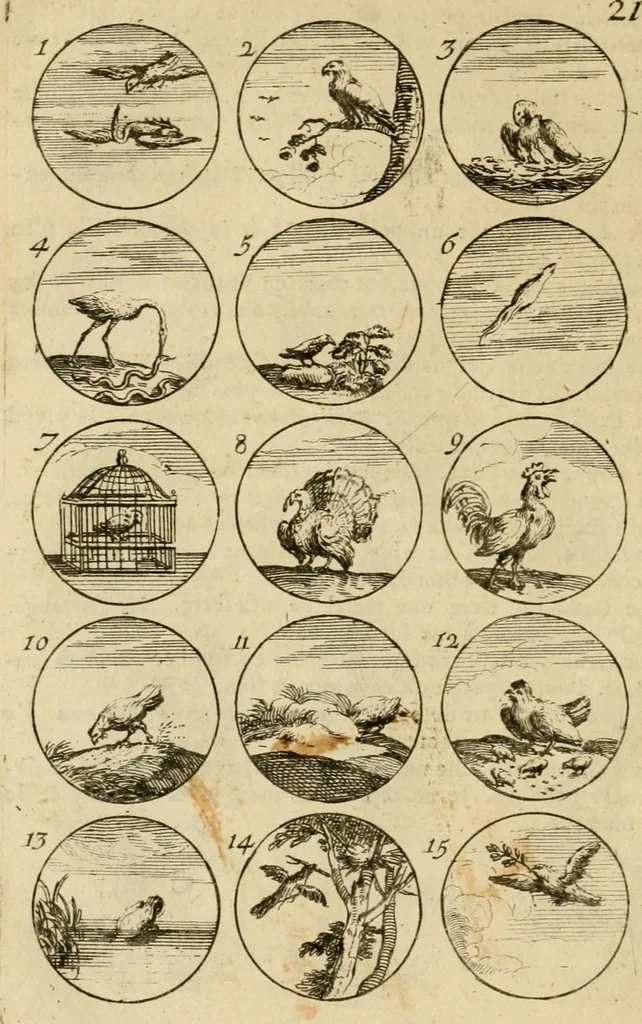 An illustration from Recueil d'emblêmes, devises, medailles, et figures hieroglyphiques : au nombre de plus de douze cent, avec leurs explications, accompagné de plus de deux mille chiffres fleuronnez simples, doubles & triples, d'une maniere nouvelle & fort curieuse pour tous les noms imaginable : avec les tenants, supports, & cimiers servans aux ornemens des armes ..., 1696, leaf 57