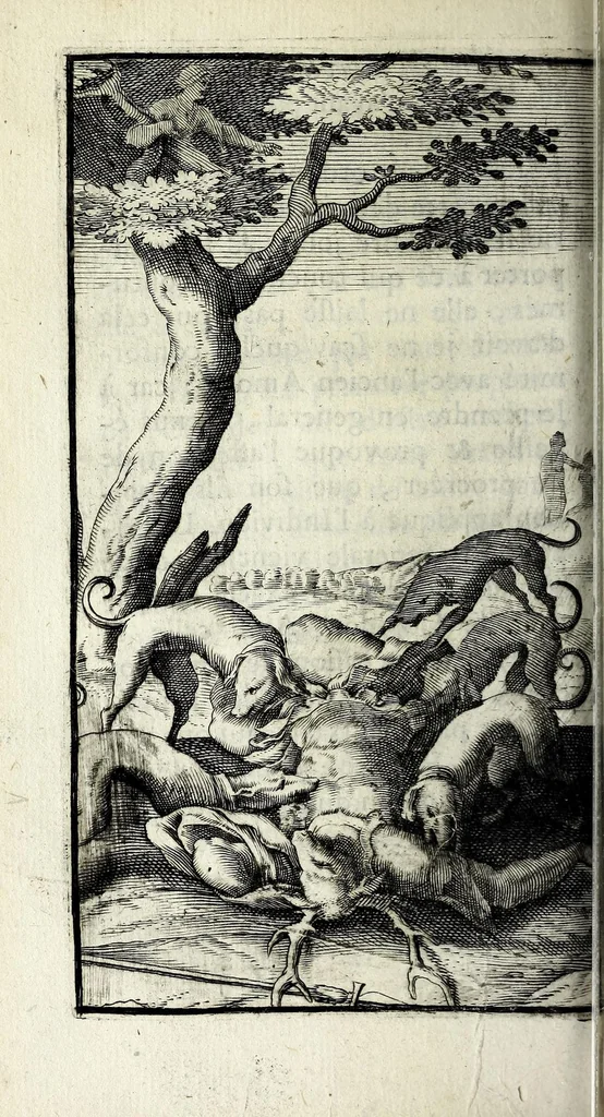 An illustration from Recueil d'emblêmes, ou, Tableaux des sciences & des vertus morales, 1685, leaf 280