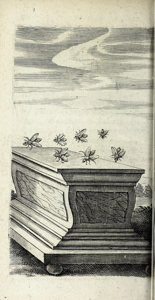 An illustration from Recueil d'emblêmes, ou, Tableaux des sciences & des vertus morales, 1685, leaf 94