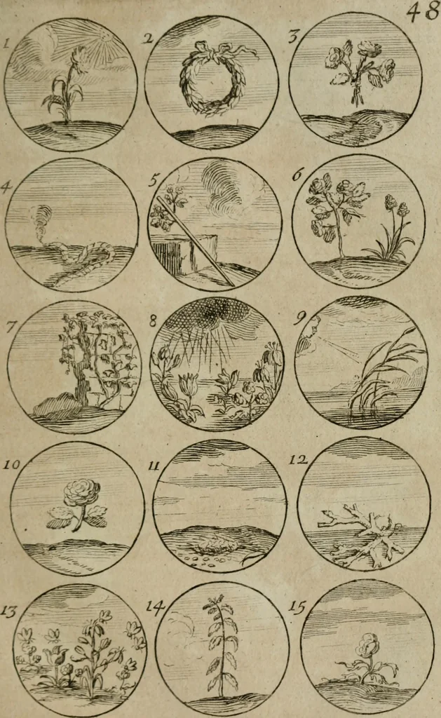 An illustration from Recueil d'emblêmes, devises, medailles, et figures hieroglyphiques, au nombre de plus de douze cent, avec leurs explications : accompagné de plus de deux mille chiffres fleuronnez simples, doubles & triples : d'une manière nouvelle & fort curieuse pour tous les noms imaginables : avec les tenants, supports, & cimiers servans aux ornemens des armes : cet ouvrage qui est enrichy de deux cens cinquante planches en taille-douce, est très-utile aux graveurs, peintres, sculpteurs, orfevres, brodeurs, serruriers, & à tous ceux qui travaillent au dessein, 1724, leaf 110