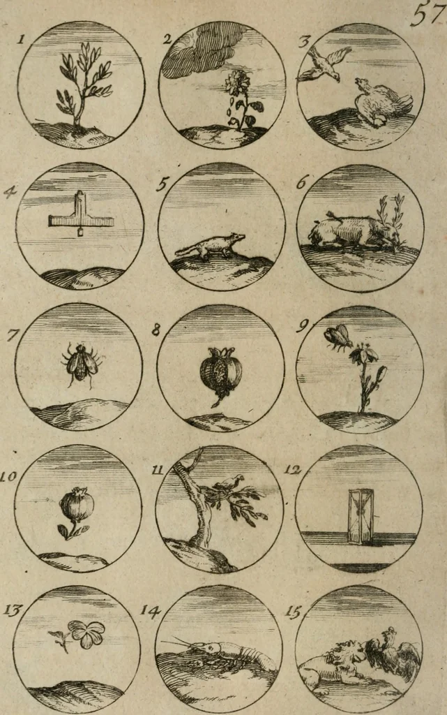 An illustration from Recueil d'emblêmes, devises, medailles, et figures hieroglyphiques, au nombre de plus de douze cent, avec leurs explications : accompagné de plus de deux mille chiffres fleuronnez simples, doubles & triples : d'une manière nouvelle & fort curieuse pour tous les noms imaginables : avec les tenants, supports, & cimiers servans aux ornemens des armes : cet ouvrage qui est enrichy de deux cens cinquante planches en taille-douce, est très-utile aux graveurs, peintres, sculpteurs, orfevres, brodeurs, serruriers, & à tous ceux qui travaillent au dessein, 1724, leaf 127