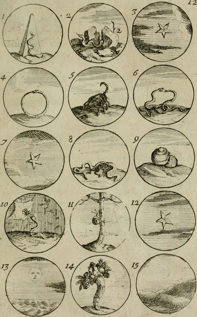 An illustration from Recueil d'emblêmes, devises, medailles, et figures hieroglyphiques, au nombre de plus de douze cent, avec leurs explications : accompagné de plus de deux mille chiffres fleuronnez simples, doubles & triples : d'une manière nouvelle & fort curieuse pour tous les noms imaginables : avec les tenants, supports, & cimiers servans aux ornemens des armes : cet ouvrage qui est enrichy de deux cens cinquante planches en taille-douce, est très-utile aux graveurs, peintres, sculpteurs, orfevres, brodeurs, serruriers, & à tous ceux qui travaillent au dessein, 1724, leaf 38