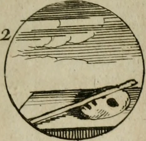 An illustration from Recueil d'emblêmes, devises, medailles, et figures hieroglyphiques, au nombre de plus de douze cent, avec leurs explications : accompagné de plus de deux mille chiffres fleuronnez simples, doubles & triples : d'une manière nouvelle & fort curieuse pour tous les noms imaginables : avec les tenants, supports, & cimiers servans aux ornemens des armes : cet ouvrage qui est enrichy de deux cens cinquante planches en taille-douce, est très-utile aux graveurs, peintres, sculpteurs, orfevres, brodeurs, serruriers, & à tous ceux qui travaillent au dessein, 1724, leaf 90