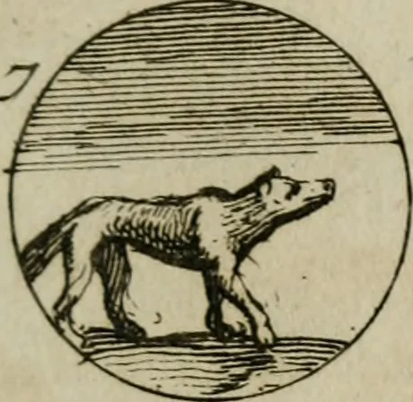 An illustration from Recueil d'emblêmes, devises, medailles, et figures hieroglyphiques, au nombre de plus de douze cent, avec leurs explications : accompagné de plus de deux mille chiffres fleuronnez simples, doubles & triples : d'une manière nouvelle & fort curieuse pour tous les noms imaginables : avec les tenants, supports, & cimiers servans aux ornemens des armes : cet ouvrage qui est enrichy de deux cens cinquante planches en taille-douce, est très-utile aux graveurs, peintres, sculpteurs, orfevres, brodeurs, serruriers, & à tous ceux qui travaillent au dessein, 1724, leaf 90
