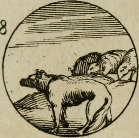 An illustration from Recueil d'emblêmes, devises, medailles, et figures hieroglyphiques, au nombre de plus de douze cent, avec leurs explications : accompagné de plus de deux mille chiffres fleuronnez simples, doubles & triples : d'une manière nouvelle & fort curieuse pour tous les noms imaginables : avec les tenants, supports, & cimiers servans aux ornemens des armes : cet ouvrage qui est enrichy de deux cens cinquante planches en taille-douce, est très-utile aux graveurs, peintres, sculpteurs, orfevres, brodeurs, serruriers, & à tous ceux qui travaillent au dessein, 1724, leaf 90