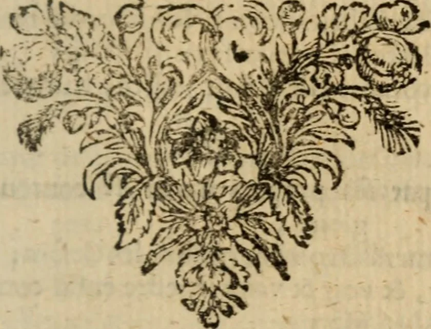 An illustration from Recueil de pièces galantes, en prose [et] en vers, 1668, leaf 396