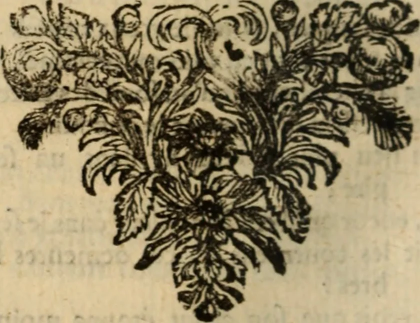 An illustration from Recueil de pièces galantes, en prose [et] en vers, 1668, leaf 455