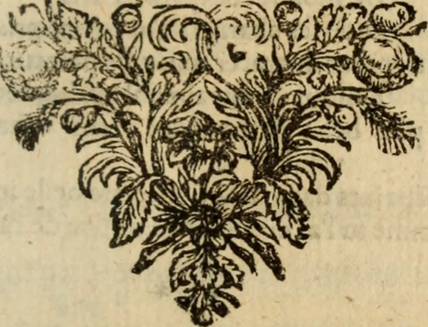 An illustration from Recueil de pièces galantes, en prose [et] en vers, 1668, leaf 462