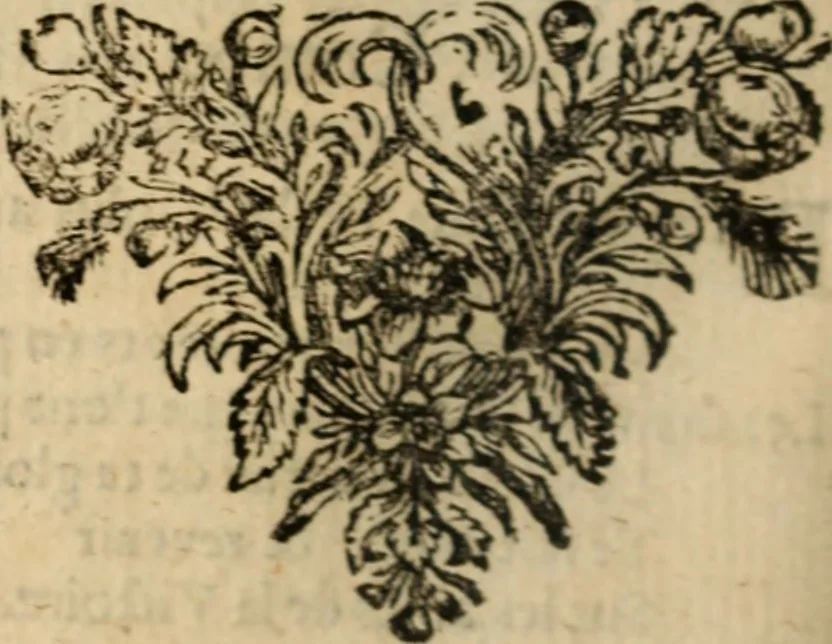 An illustration from Recueil de pièces galantes, en prose [et] en vers, 1668, leaf 531