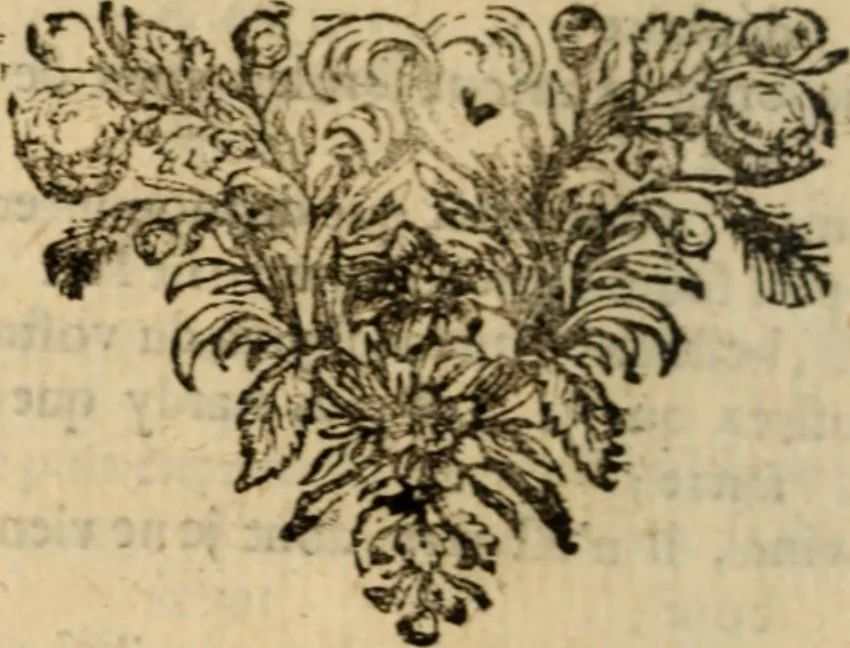 An illustration from Recueil de pièces galantes, en prose [et] en vers, 1668, leaf 567