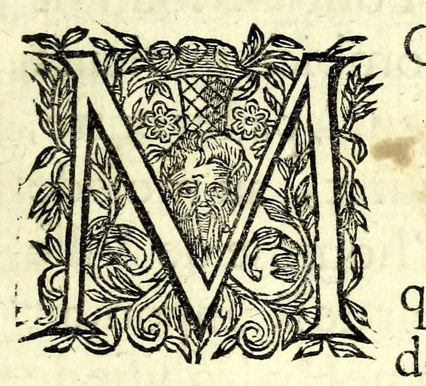 An illustration from Recueil de plusieurs machines militaires et feux artificiels pour la guerre & recreation : auec l'alphabet de Trittemius par laquelle chacun qui sçait escrire peut promptement composer congruement en latin, aussi le moyen d'escrire la nuict á son amy absent, 1620, leaf 7