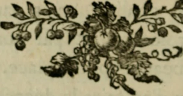 An illustration from Recueil de procédés et d'expériences sur les teintures solides que nos végétaux indigênes communiquent aux laines & aux lainages, 1786, leaf 25