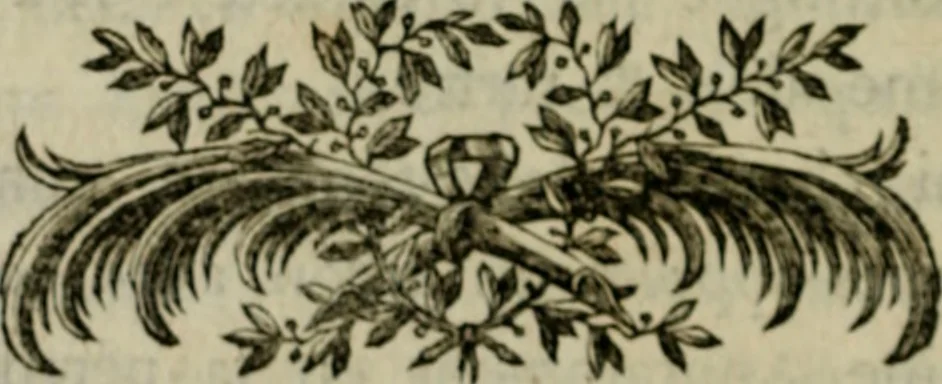 An illustration from Recueil de procédés et d'expériences sur les teintures solides que nos végétaux indigênes communiquent aux laines & aux lainages, 1786, leaf 49