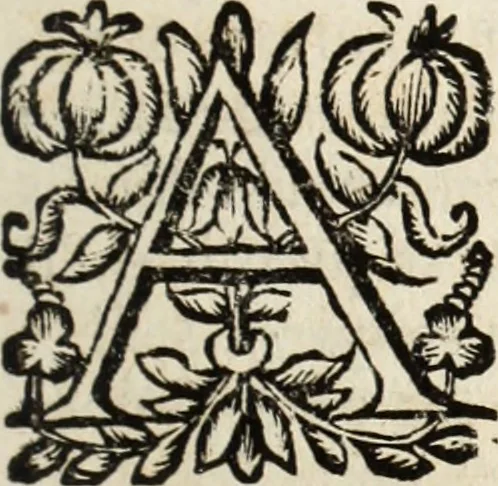 An illustration from Recueil des chartes, créations, confirmations et colonel, capitaines, major, officiers et trois cens archers de la ville de Paris, 1667, leaf 100
