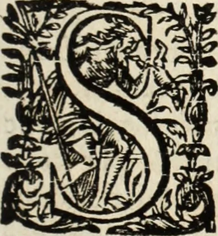 An illustration from Recueil des chartes, créations, confirmations et colonel, capitaines, major, officiers et trois cens archers de la ville de Paris, 1667, leaf 102