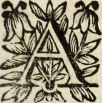 An illustration from Recueil des chartes, créations, confirmations et colonel, capitaines, major, officiers et trois cens archers de la ville de Paris, 1667, leaf 104