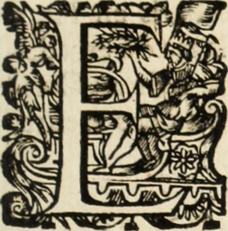 An illustration from Recueil des chartes, créations, confirmations et colonel, capitaines, major, officiers et trois cens archers de la ville de Paris, 1667, leaf 124