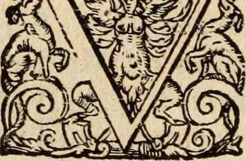 An illustration from Recueil des chartes, créations, confirmations et colonel, capitaines, major, officiers et trois cens archers de la ville de Paris, 1667, leaf 133