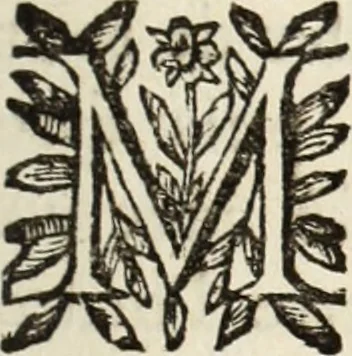 An illustration from Recueil des chartes, créations, confirmations et colonel, capitaines, major, officiers et trois cens archers de la ville de Paris, 1667, leaf 14