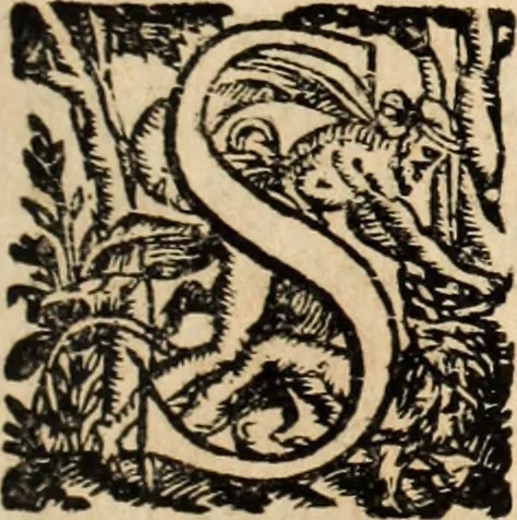An illustration from Recueil des chartes, créations, confirmations et colonel, capitaines, major, officiers et trois cens archers de la ville de Paris, 1667, leaf 148