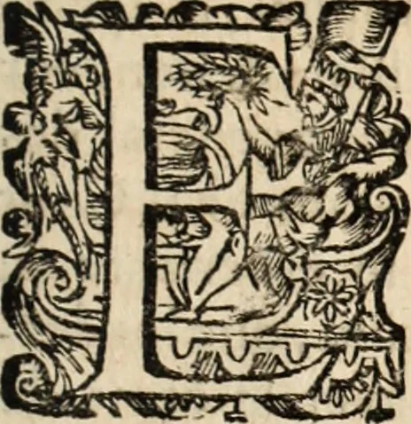 An illustration from Recueil des chartes, créations, confirmations et colonel, capitaines, major, officiers et trois cens archers de la ville de Paris, 1667, leaf 216