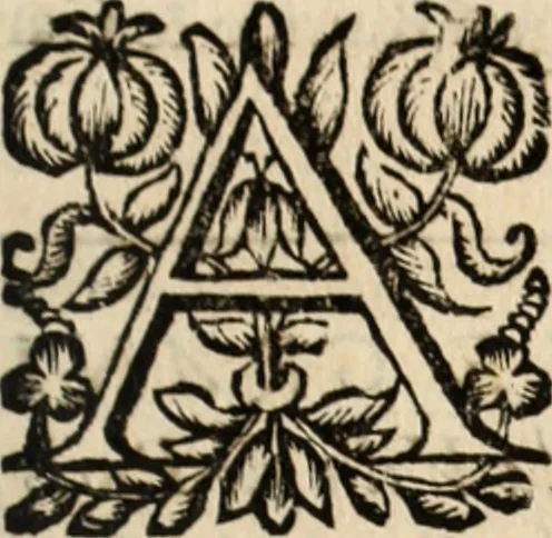 An illustration from Recueil des chartes, créations, confirmations et colonel, capitaines, major, officiers et trois cens archers de la ville de Paris, 1667, leaf 220