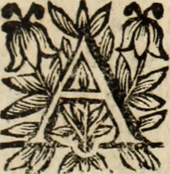 An illustration from Recueil des chartes, créations, confirmations et colonel, capitaines, major, officiers et trois cens archers de la ville de Paris, 1667, leaf 222