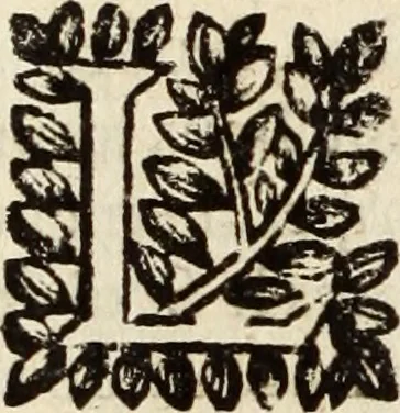 An illustration from Recueil des chartes, créations, confirmations et colonel, capitaines, major, officiers et trois cens archers de la ville de Paris, 1667, leaf 95
