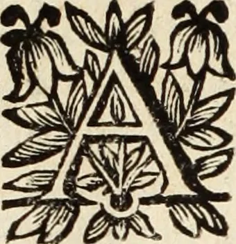 An illustration from Recueil des chartes, créations, confirmations et colonel, capitaines, major, officiers et trois cens archers de la ville de Paris, 1667, leaf 97