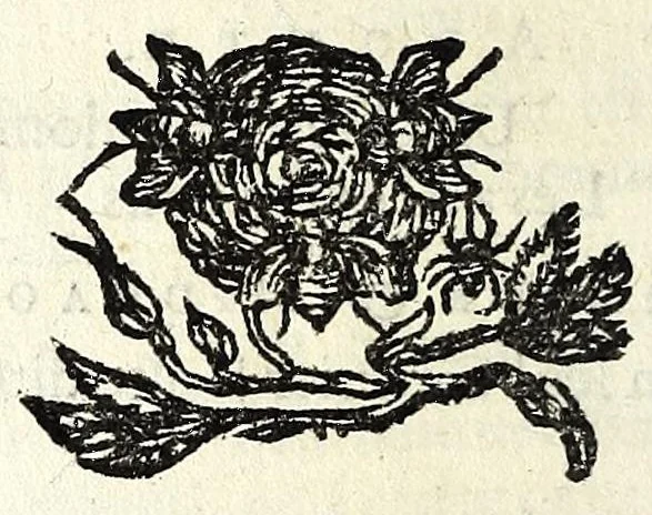 An illustration from Recueil des opera, 1687, leaf 160