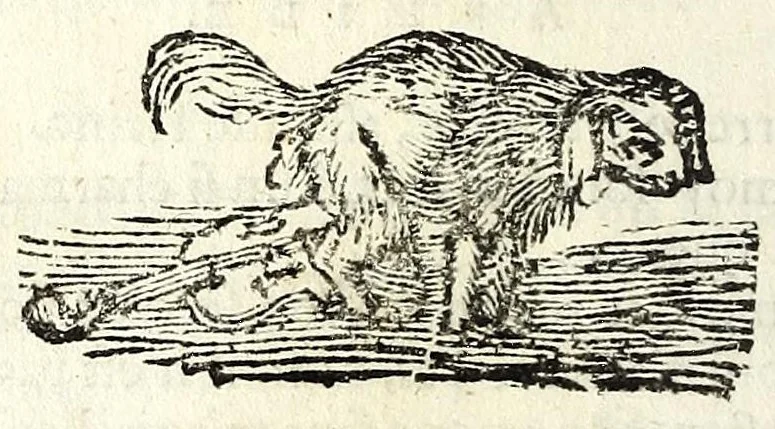 An illustration from Recueil des opera, 1687, leaf 176