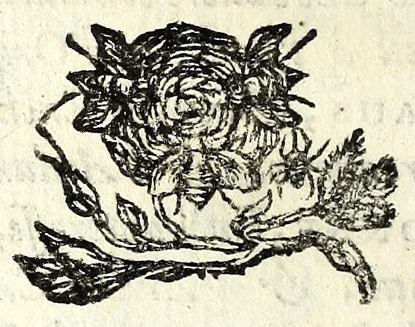 An illustration from Recueil des opera, 1687, leaf 18