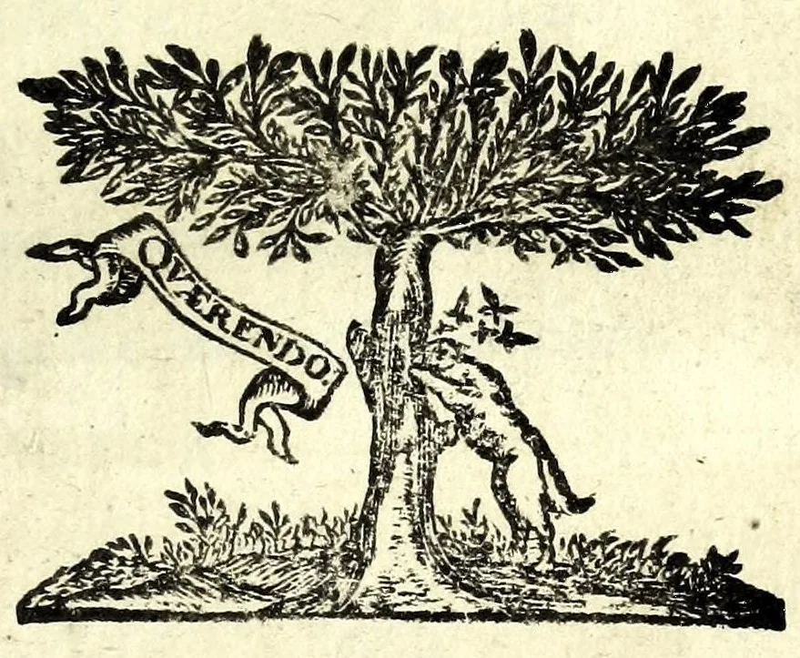 An illustration from Recueil des opera, 1687, leaf 311