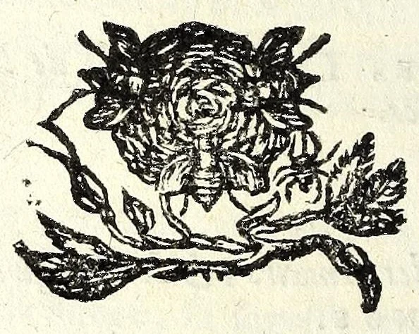 An illustration from Recueil des opera, 1687, leaf 320