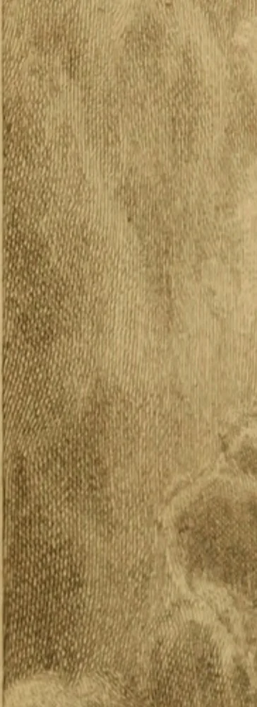 An illustration from Recueil d'estampes gravées d'après les tableaux du cabinet de Monseigneur le duc de Choiseul, 1771, leaf 220